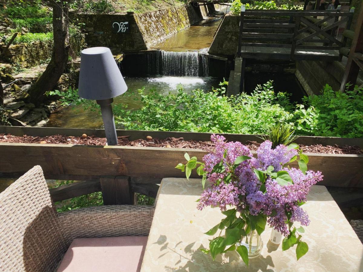 Garni Hotel Vir Vrnjačka Banja 外观 照片