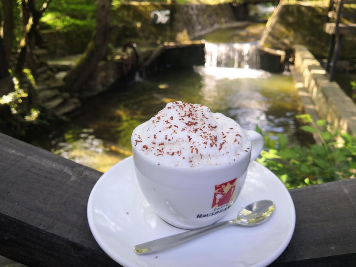 Garni Hotel Vir Vrnjačka Banja 外观 照片